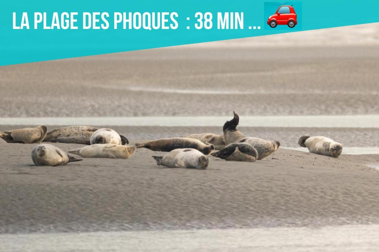 Les Penates De Camiers Villa Ngoại thất bức ảnh